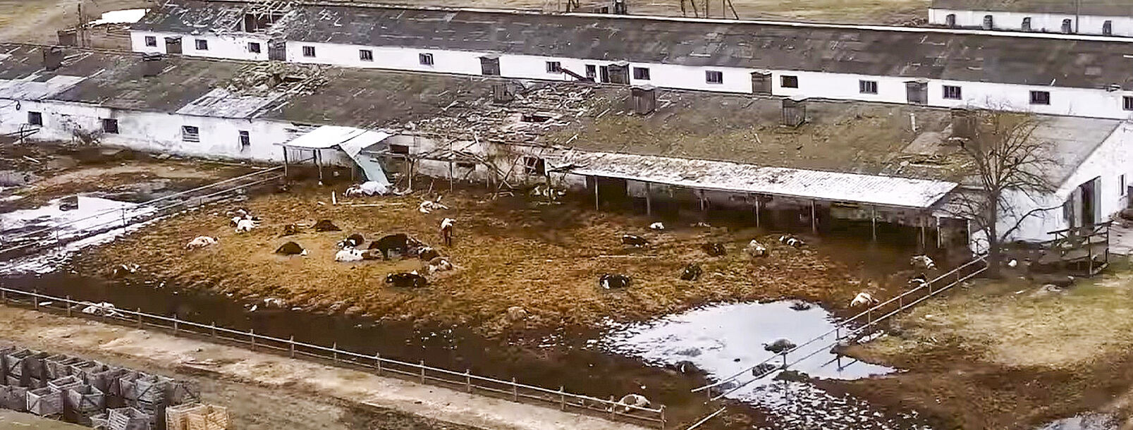 Farm shelled